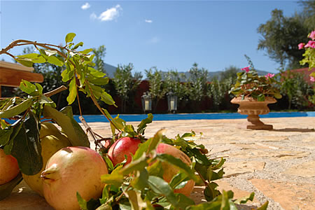 Zakynthos Zante : Aresti Luxury Villas 